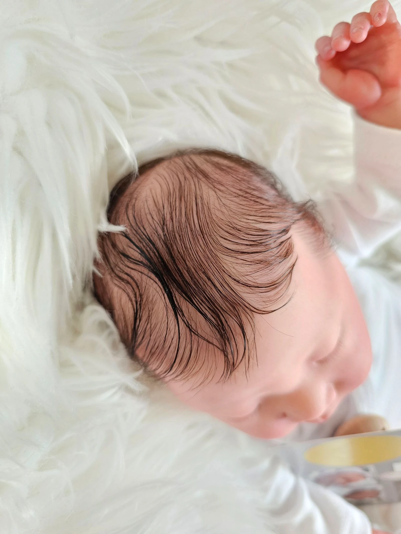 Origineel beperkte editie reborn pop – photo 4